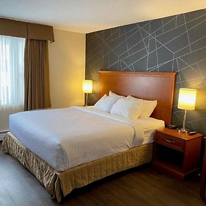 King Room Pet Friendly